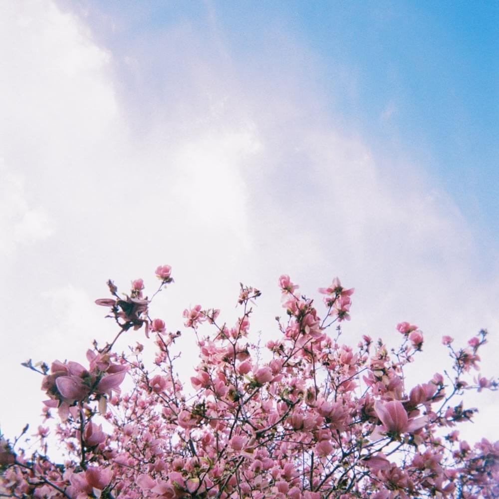Album 8